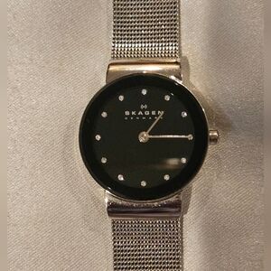 Skagen Women's Stainless Steel Mesh Band watch